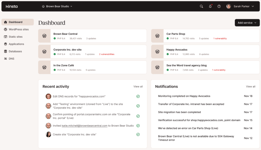A screenshot of Kinsta Hosting Dashboard